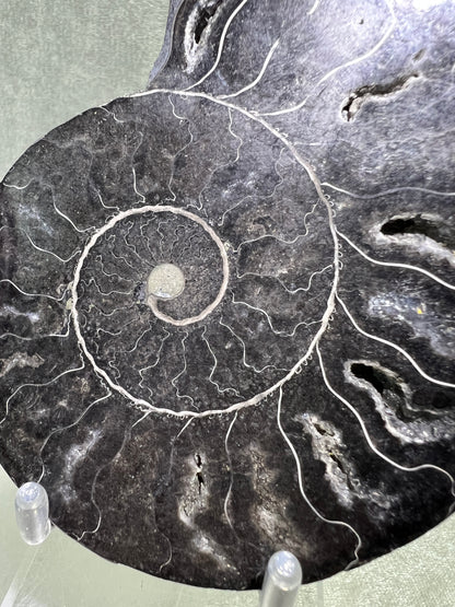 Black Ammonite Display Pair. Gorgeous Rare Fossil Specimen From Madagascar. Split And Polished With Amazing Druzy.
