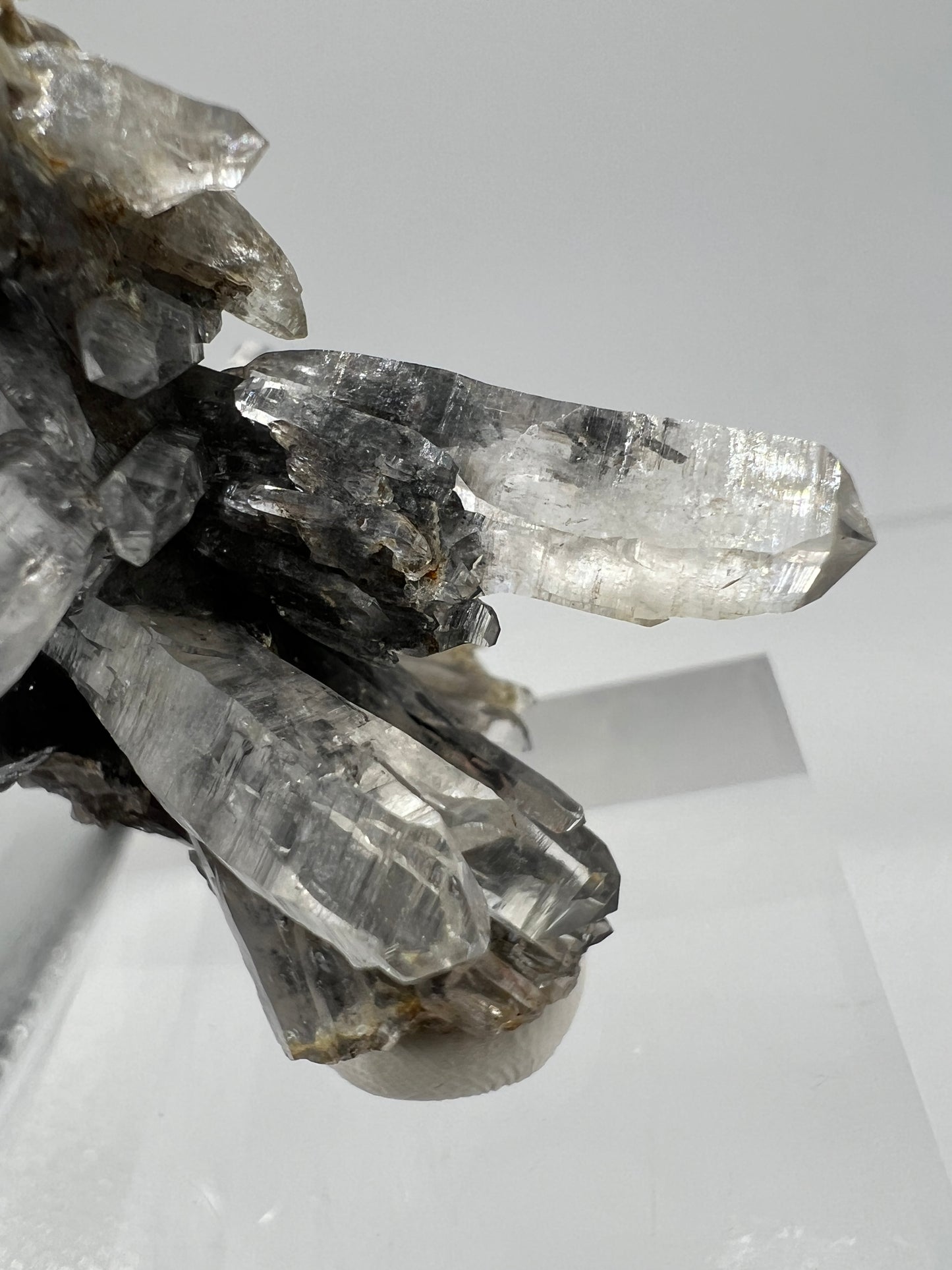 Veracruz Black Phantom Quartz Specimen. New Discovery From Mexico. Very Rare And Limited Collectors Piece. Stunning Display Crystal.