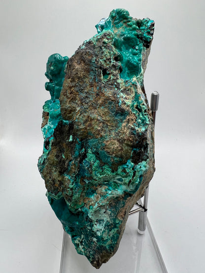 Silica Chrysocolla Specimen. Very Rare Display Crystal. High Quality Botryoidal Bubblegum Chrysocolla, Malachite, And Heterogenite.