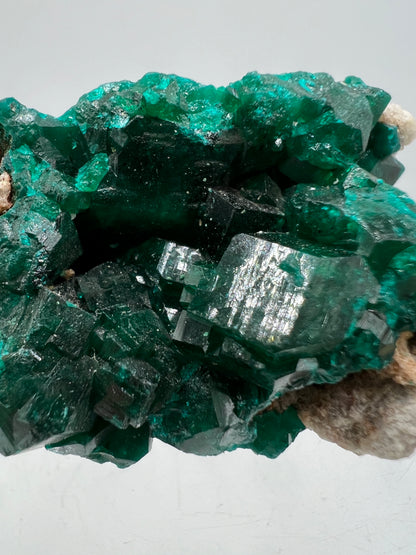 Dioptase Crystal Specimen. Gorgeous Rare Mineral From The Congo. High Quality Display Crystal