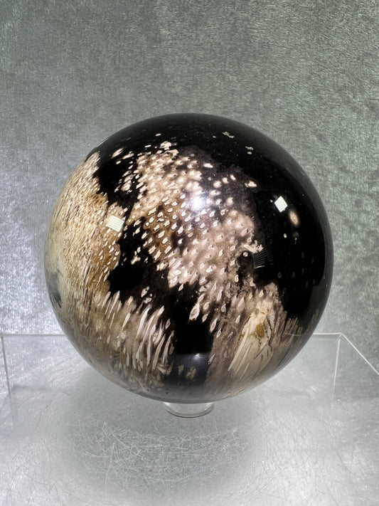 Palm Root Agate Sphere. 76mm. Incredible Fossilized Black Palm Root Agate. Very High Quality Crystal Sphere.