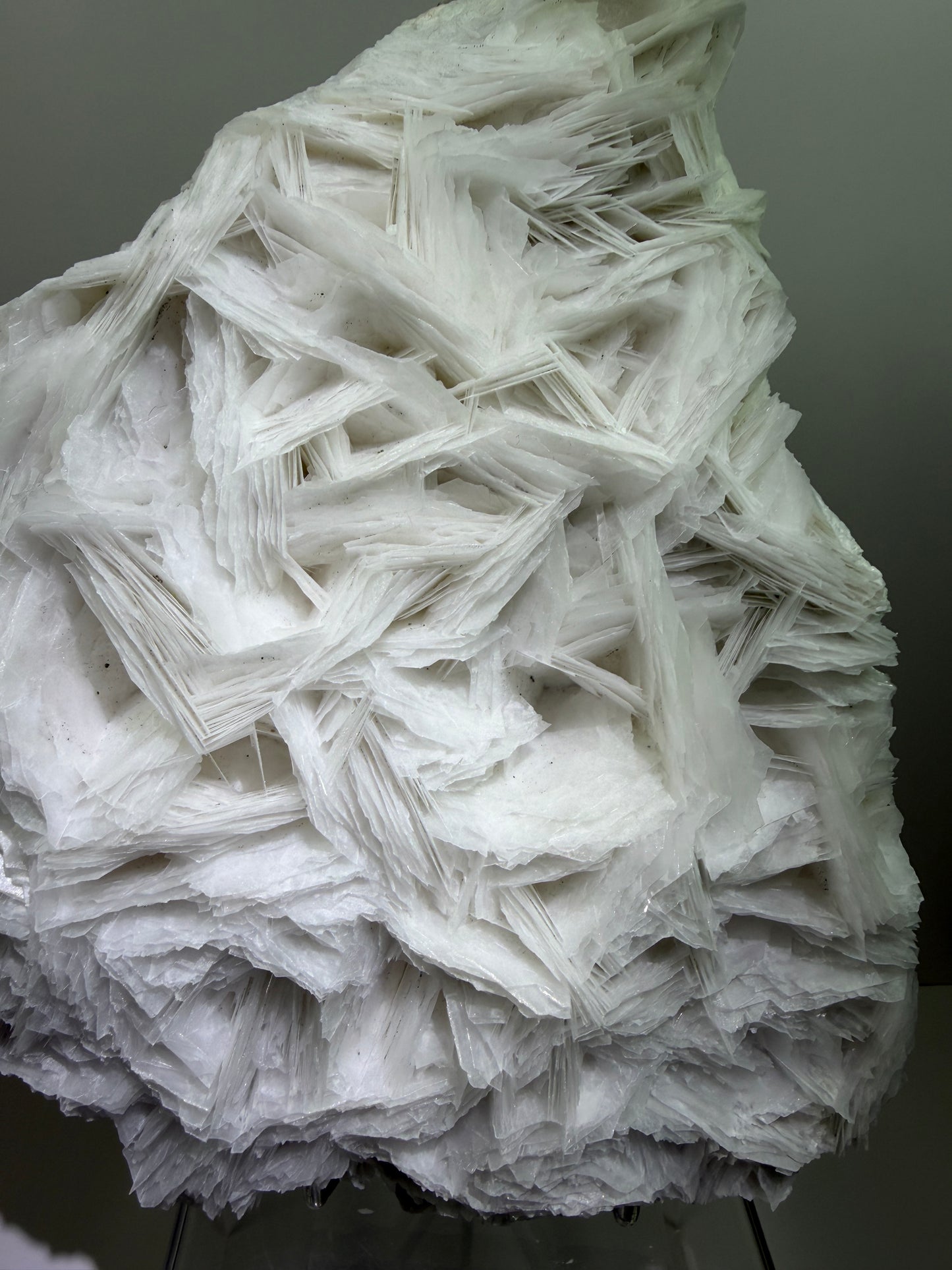 White Rose Bladed Calcite. Extra Large Angel Wing Calcite Specimen. High Quality UV Statement Piece.