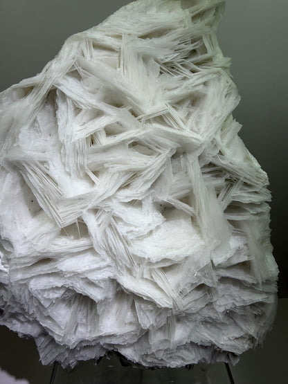 White Rose Bladed Calcite. Extra Large Angel Wing Calcite Specimen. High Quality UV Statement Piece.