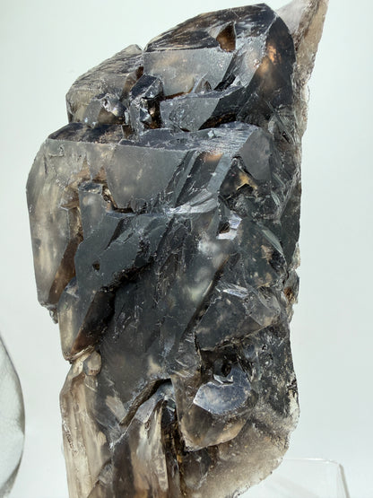 Elestial Quartz Specimen. High Quality Smoky Quartz Cluster. Amazing Colors, Excellent Windows, And Gorgeous Rainbows!
