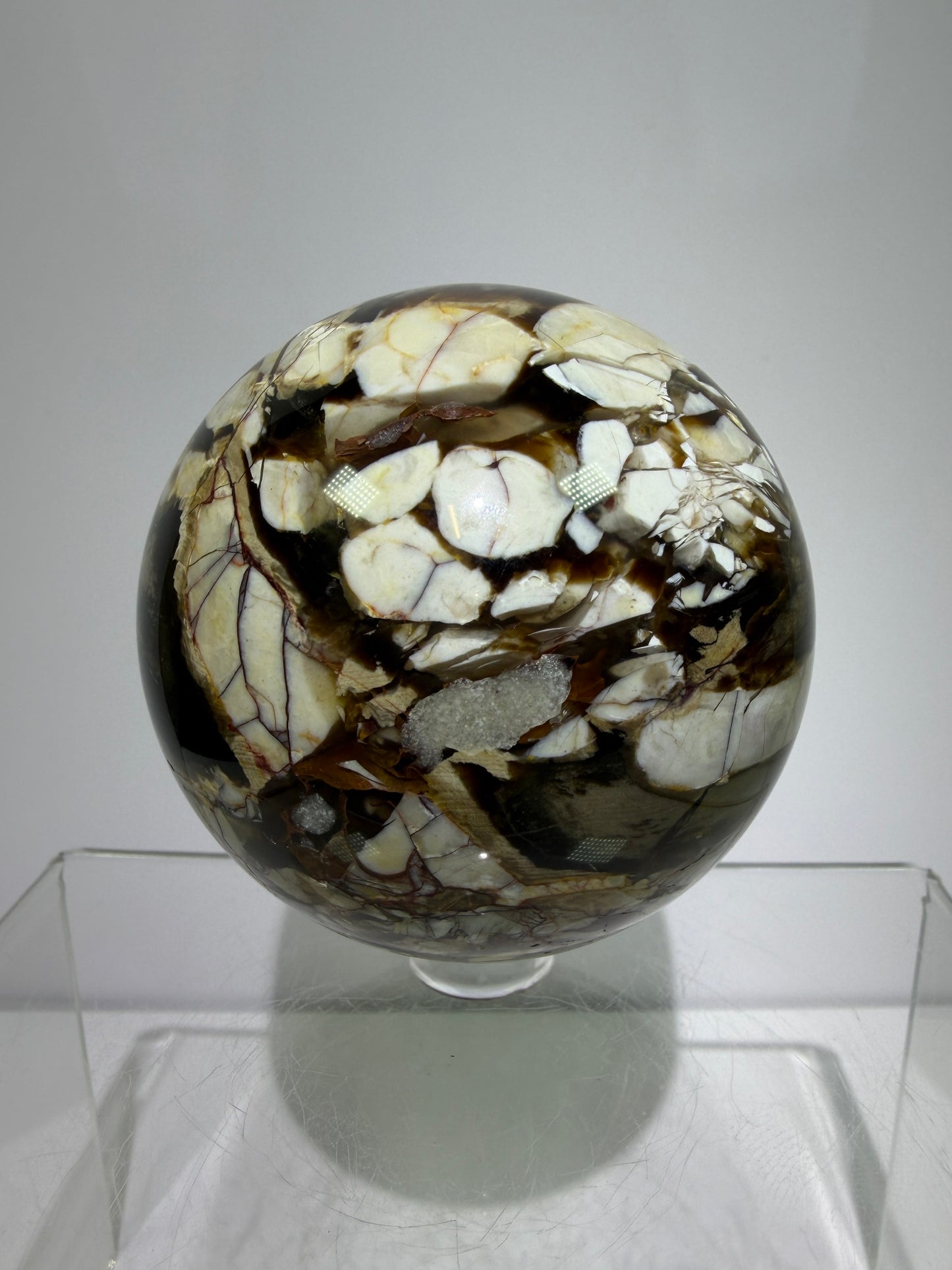 Peanut Wood Sphere. 67mm. Extremely Rare Australian Peanut Wood. Incredible Petrified Wood Display Sphere