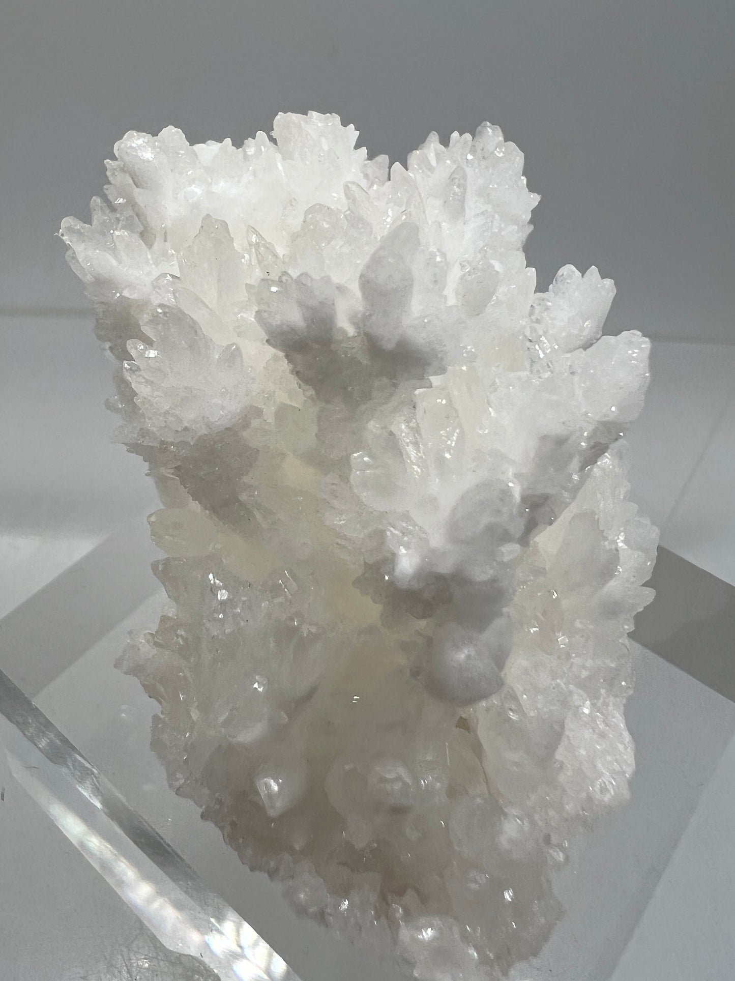 White Aragonite Crystal Specimen. Amazing Cave Calcite From Mexico.