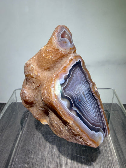 Sashe River Agate Freeform. Incredible Semi Polished Freeform From Zimbabwe. High Quality Rare Display Crystal