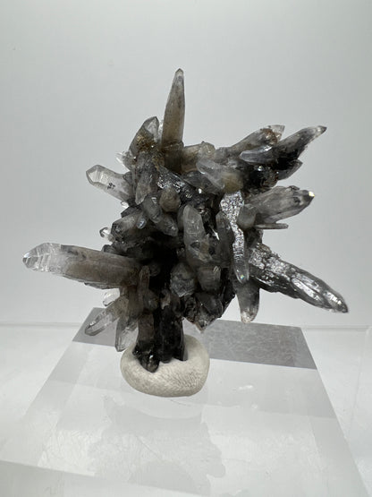 Veracruz Black Phantom Quartz Specimen. New Discovery From Mexico. Very Rare And Limited Collectors Piece. Stunning Display Crystal.