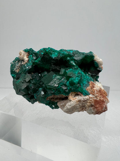Dioptase Crystal Specimen. Gorgeous Rare Mineral From The Congo. High Quality Display Crystal