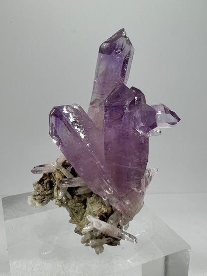 Veracruz Amethyst Display Cluster. Gorgeous Deep Purple High Quality Specimen. World Famous Rare Amethyst