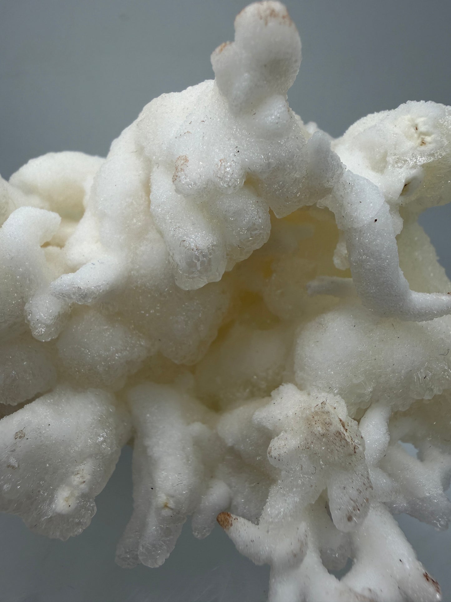Calcite Helectite Crystal Specimen. Rare Amazing Cave Calcite Formation. High Quality Unique Mineral Display