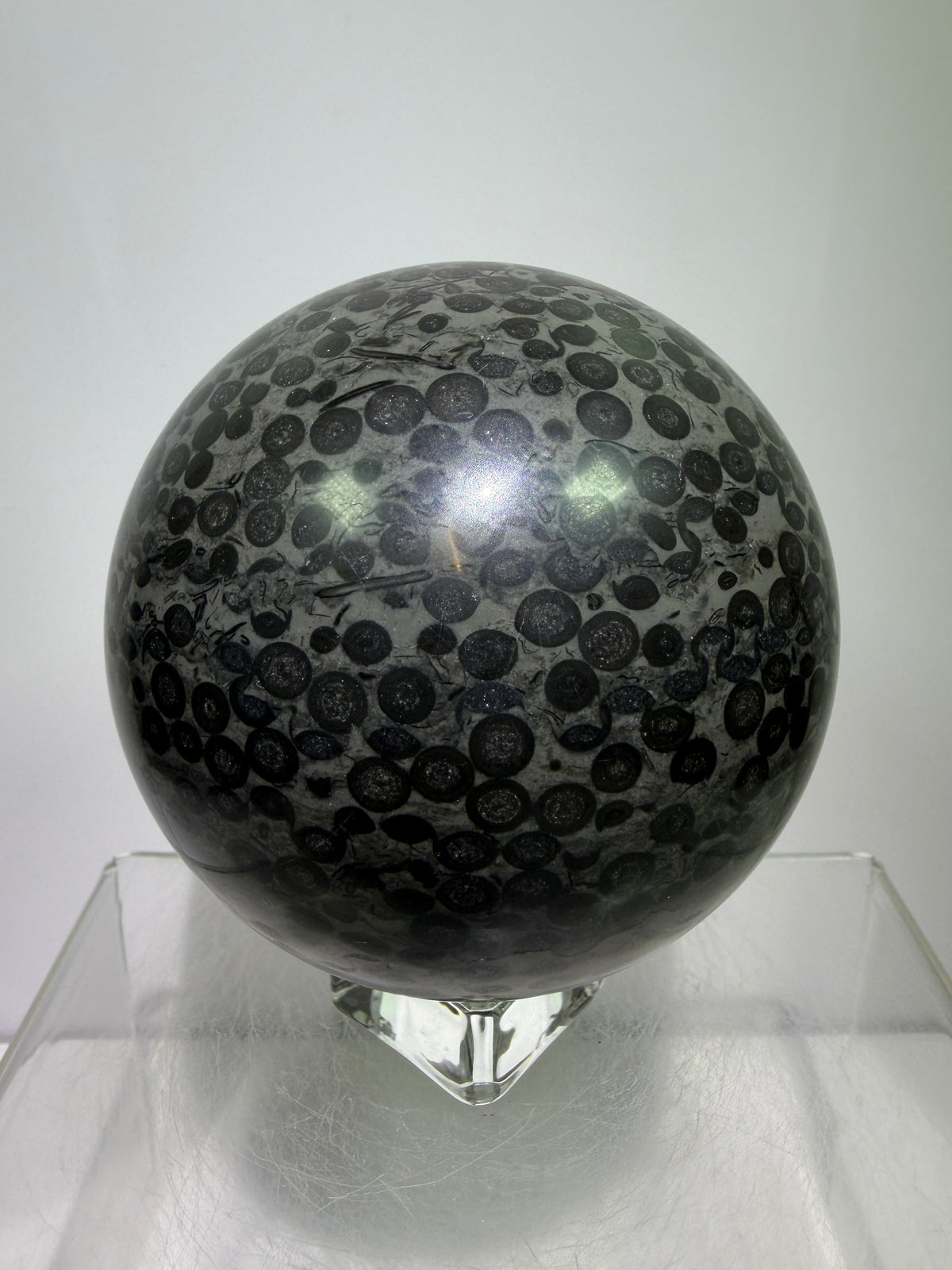 Leopardskin Jasper Sphere. 79mm. Gorgeous And Realistic Leopard Cheetah Patterns. Very Pretty Display Crystal