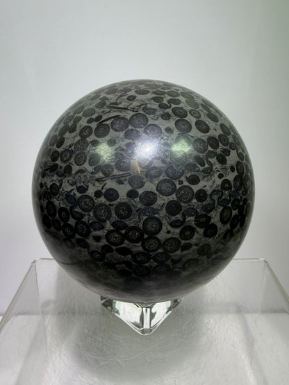 Leopardskin Jasper Sphere. 79mm. Gorgeous And Realistic Leopard Cheetah Patterns. Very Pretty Display Crystal