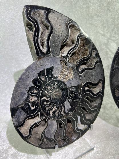 Black Ammonite Display Pair. Extra Large Rare Fossil Specimen From Madagascar. Split And Polished With Amazing Druzy.