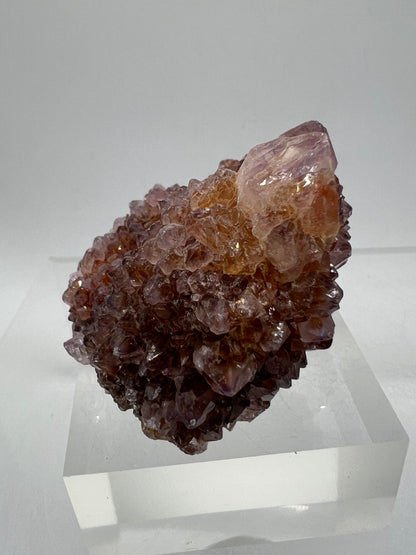 Spirit Quartz Cluster. Amazing Colors With Limonite Inclusions. Beautiful Ametrine Cactus Quartz, Fairy Quartz From South Africa.