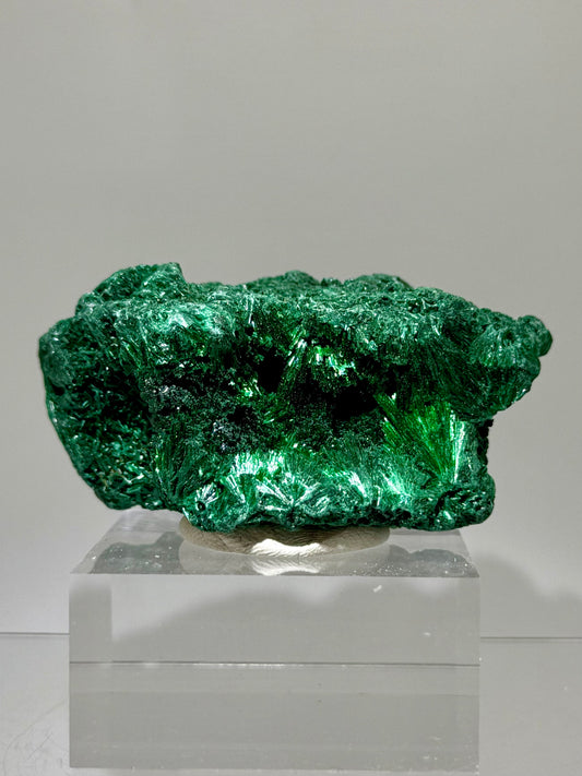 Malachite Display Specimen. Silky Malachite Cluster. High Quality Velvet Malachite From The Congo