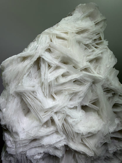 White Rose Bladed Calcite. Extra Large Angel Wing Calcite Specimen. High Quality UV Statement Piece.