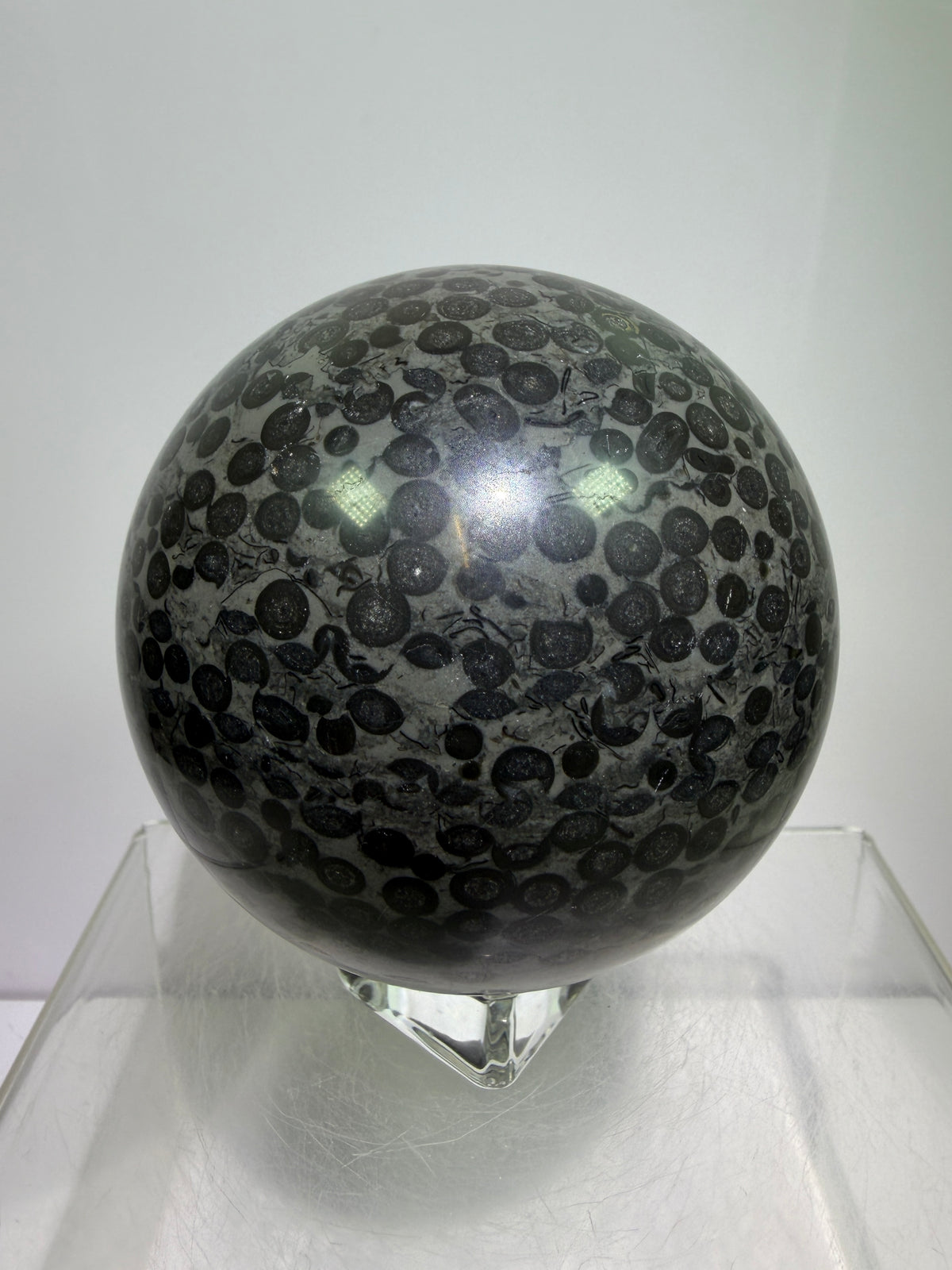 Leopardskin Jasper Sphere. 79mm. Gorgeous And Realistic Leopard Cheetah Patterns. Very Pretty Display Crystal