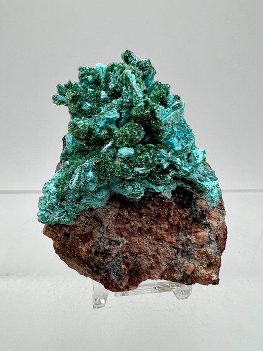 Chrysocolla And Malachite Specimen. High Quality Druzy Chrysocolla From Likasi, Congo. Gorgeous Color Display Crystal.