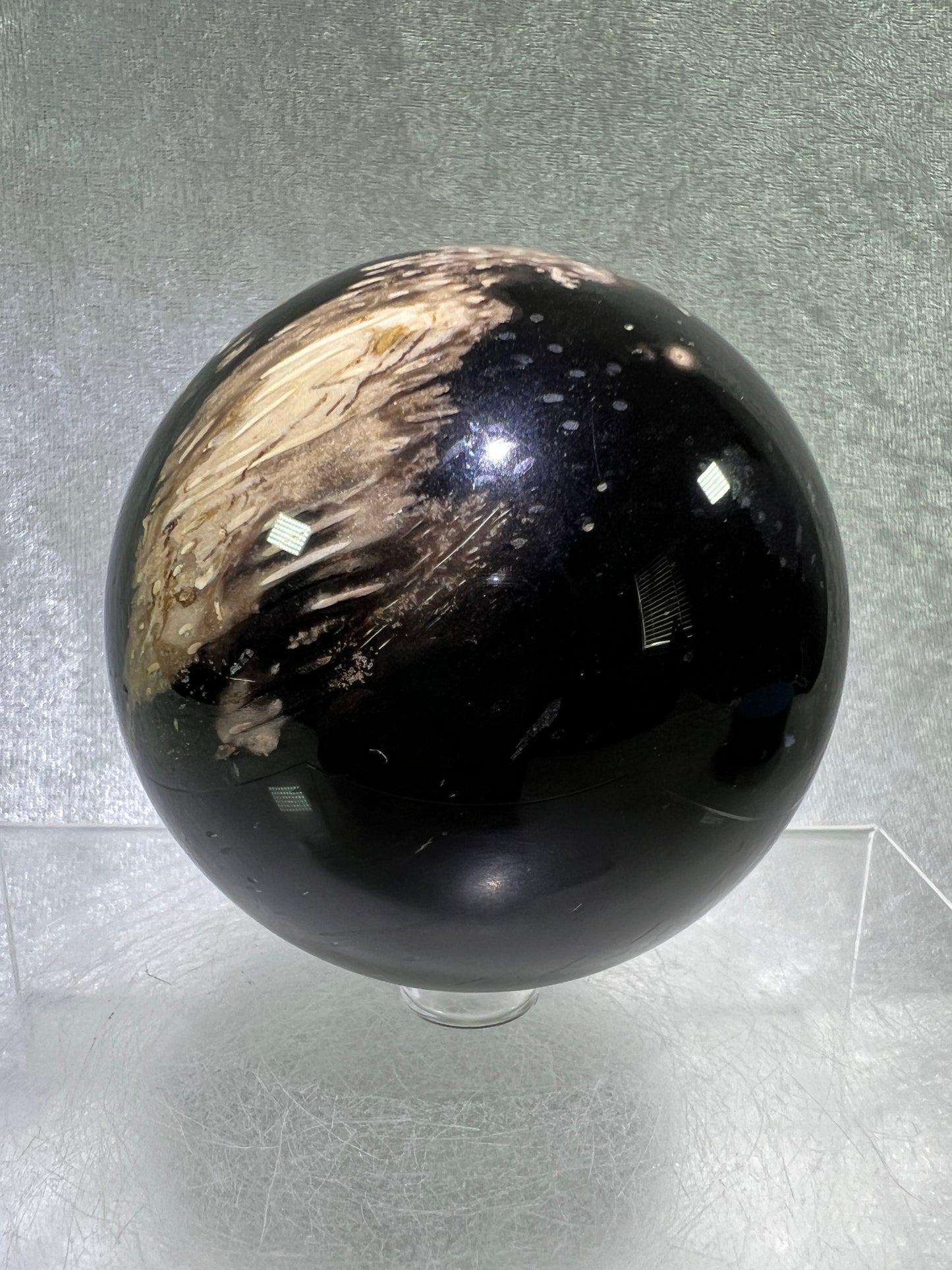 Palm Root Agate Sphere. 76mm. Incredible Fossilized Black Palm Root Agate. Very High Quality Crystal Sphere.