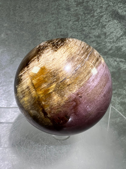 Petrified Wood Sphere. 74mm. Gorgeous Rare Display Sphere From Madagascar. Stunning Colors And Patterns.