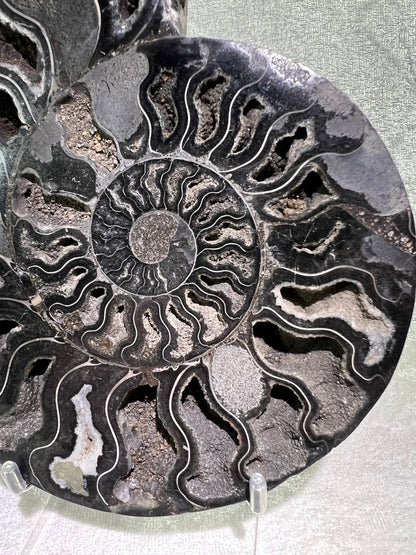 Black Ammonite Display Pair. Extra Large Rare Fossil Specimen From Madagascar. Split And Polished With Amazing Druzy.