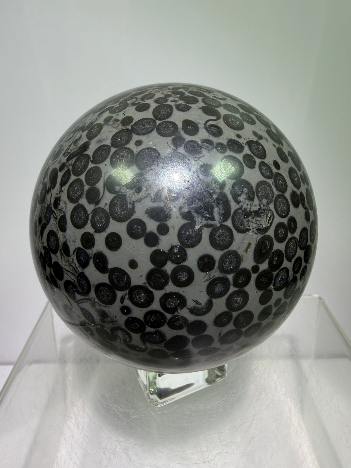 Leopardskin Jasper Sphere. 79mm. Gorgeous And Realistic Leopard Cheetah Patterns. Very Pretty Display Crystal