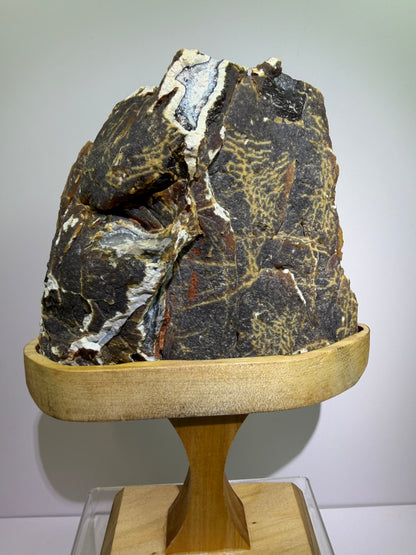 Botryoidal Black Jasper Specimen. Very Rare Geode From Brazil. High Quality Crystal With Custom Stand