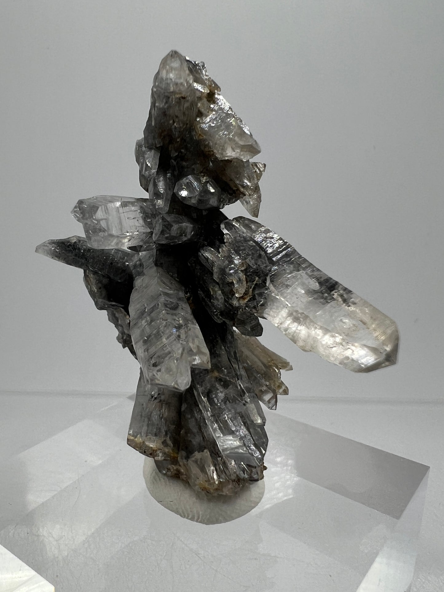 Veracruz Black Phantom Quartz Specimen. New Discovery From Mexico. Very Rare And Limited Collectors Piece. Stunning Display Crystal.