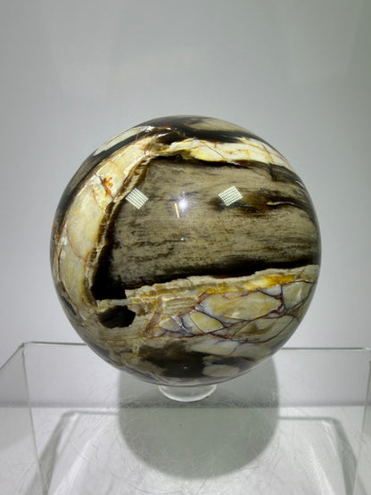 Peanut Wood Sphere. 67mm. Extremely Rare Australian Peanut Wood. Incredible Petrified Wood Display Sphere