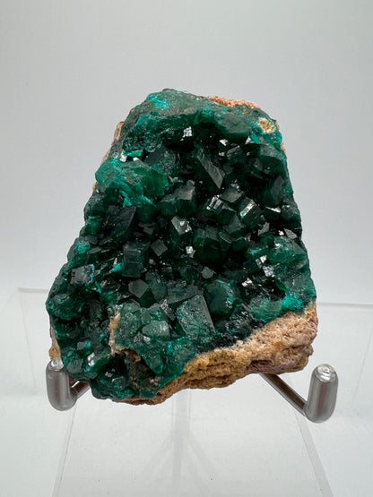 Dioptase Crystal Specimen. High Quality Flashy Mineral From The Congo. Gorgeous Colors And Cubes.