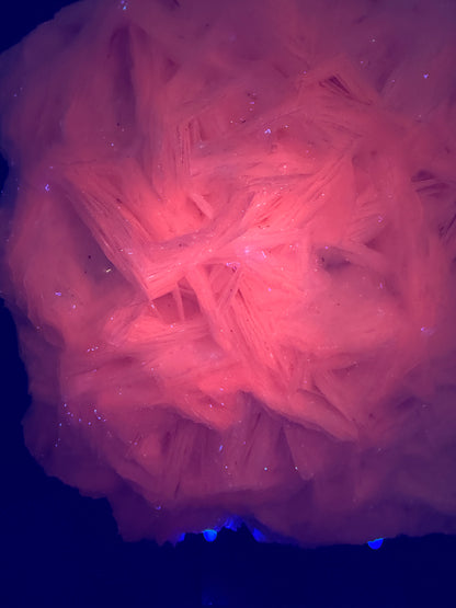 White Rose Bladed Calcite. Extra Large Angel Wing Calcite Specimen. High Quality UV Statement Piece.