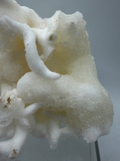 Calcite Helectite Crystal Specimen. Rare Amazing Cave Calcite Formation. High Quality Unique Mineral Display