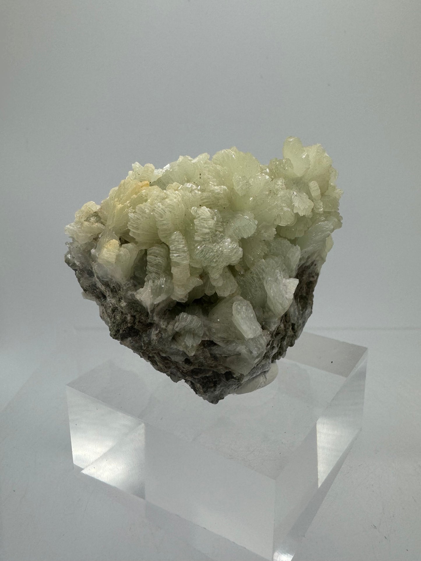 Prehnite Specimen From Morocco. Stunning Light Green Crystal Clusters. Gorgeous Mineral Display