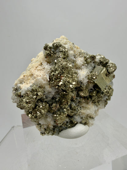Pyrite And Needle Quartz Display Specimen. Gorgeous Pyrite Cube Cluster From Peru.