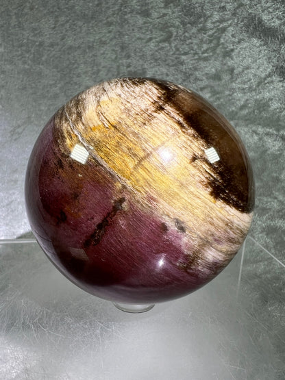 Petrified Wood Sphere. 74mm. Gorgeous Rare Display Sphere From Madagascar. Stunning Colors And Patterns.