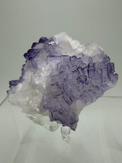 Muzquiz Purple Fluorite Specimen. Rare Mexican Fluorite Specimen. Gorgeous Collectible Display Crystal