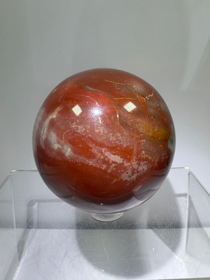 Petrified Wood Sphere. 62mm. Rare Display Sphere From Madagascar. Amazing Colors And Patterns.