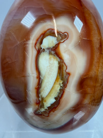Carnelian Polished Freeform. Stunning Agate From Madagascar. Amazing Colors On This High Quality Crystal