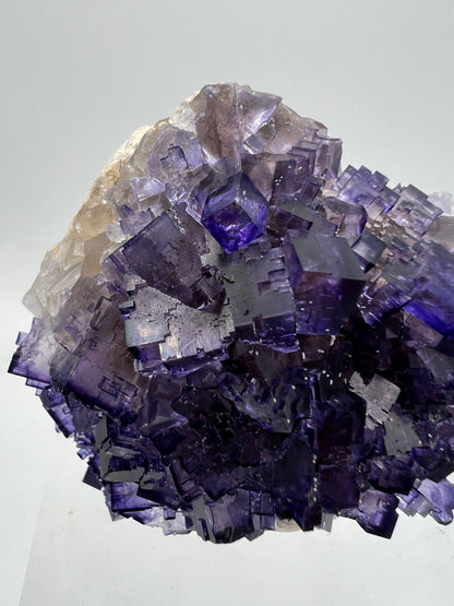 Muzquiz Purple Fluorite Specimen. High Quality Mexican Fluorite Specimen. Gorgeous Collectible Display Crystal