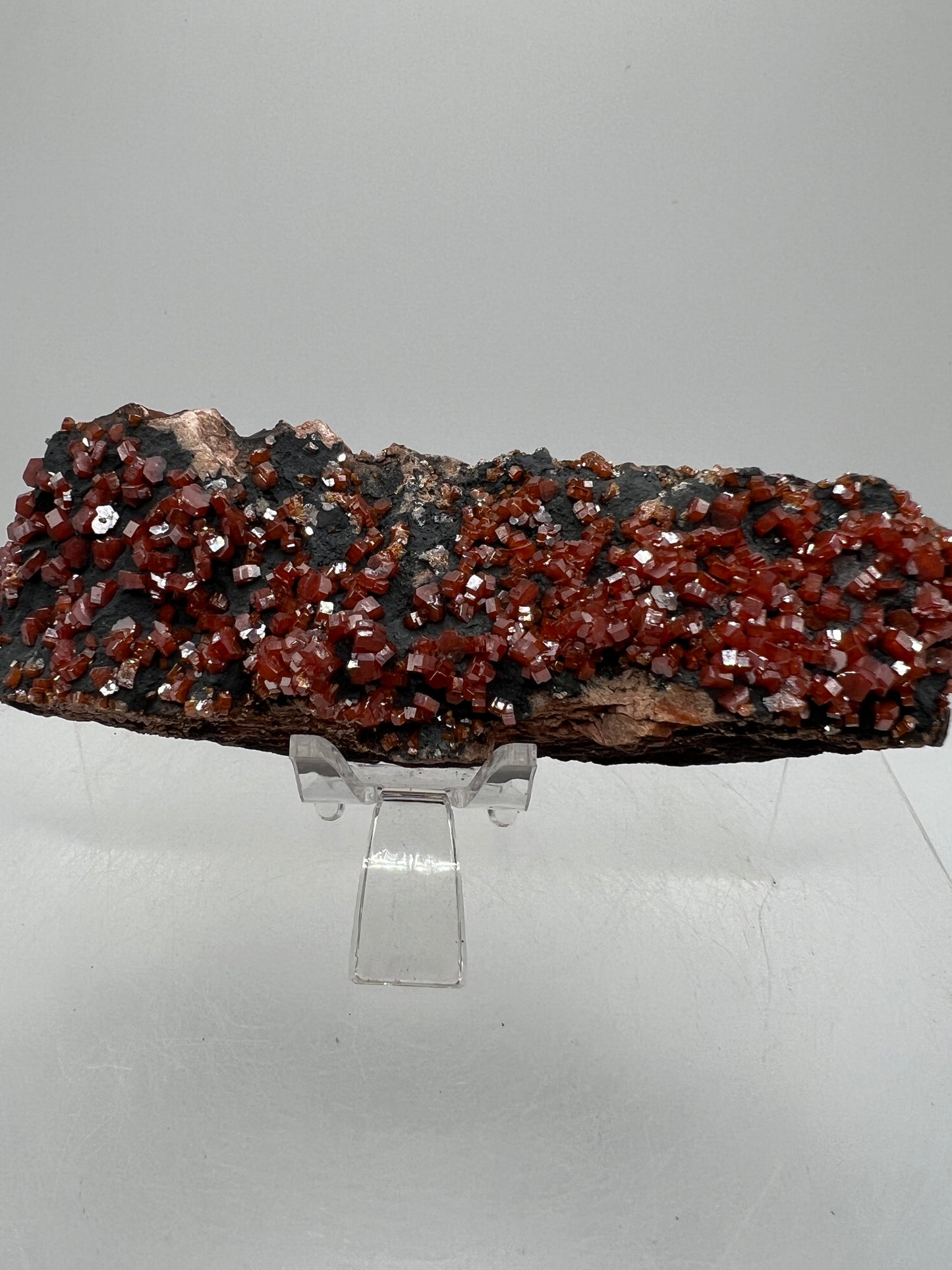 Vanadinite On Goethite Matrix. Stunning Color Contrast. Gorgeous Mineral Specimen From Morocco