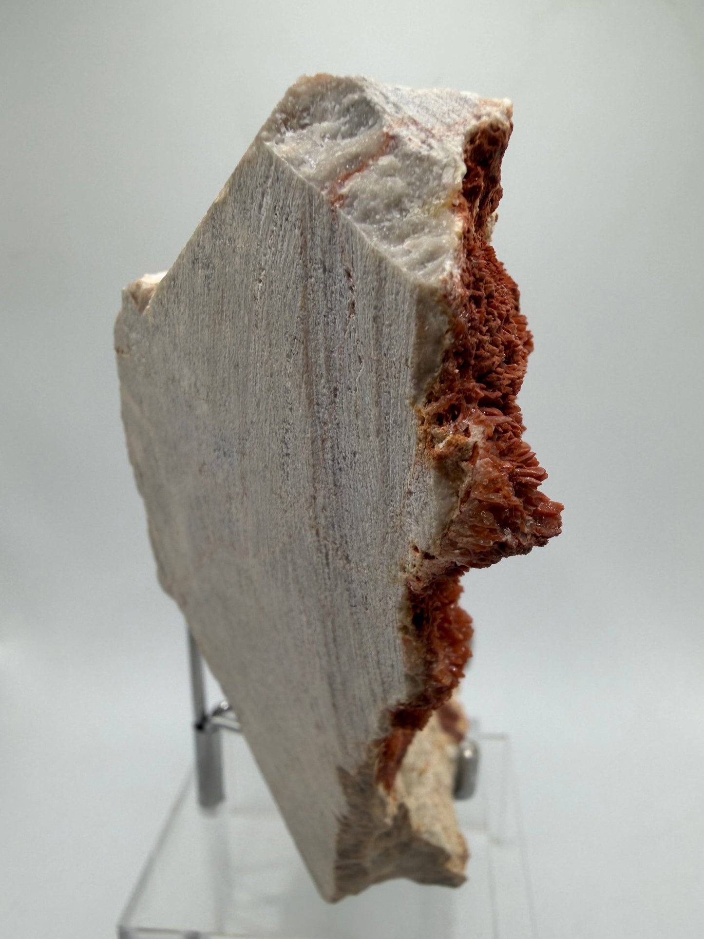 Orange Red Dogtooth Calcite Specimen. Stunning Dogtooth Flower Clusters. High Quality Rare Specimen