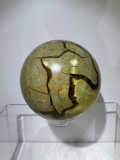 Septarian Crystal Sphere. 63mm. Amazing Dragons Egg Display Crystal. Incredible Mineral From Madagascar.