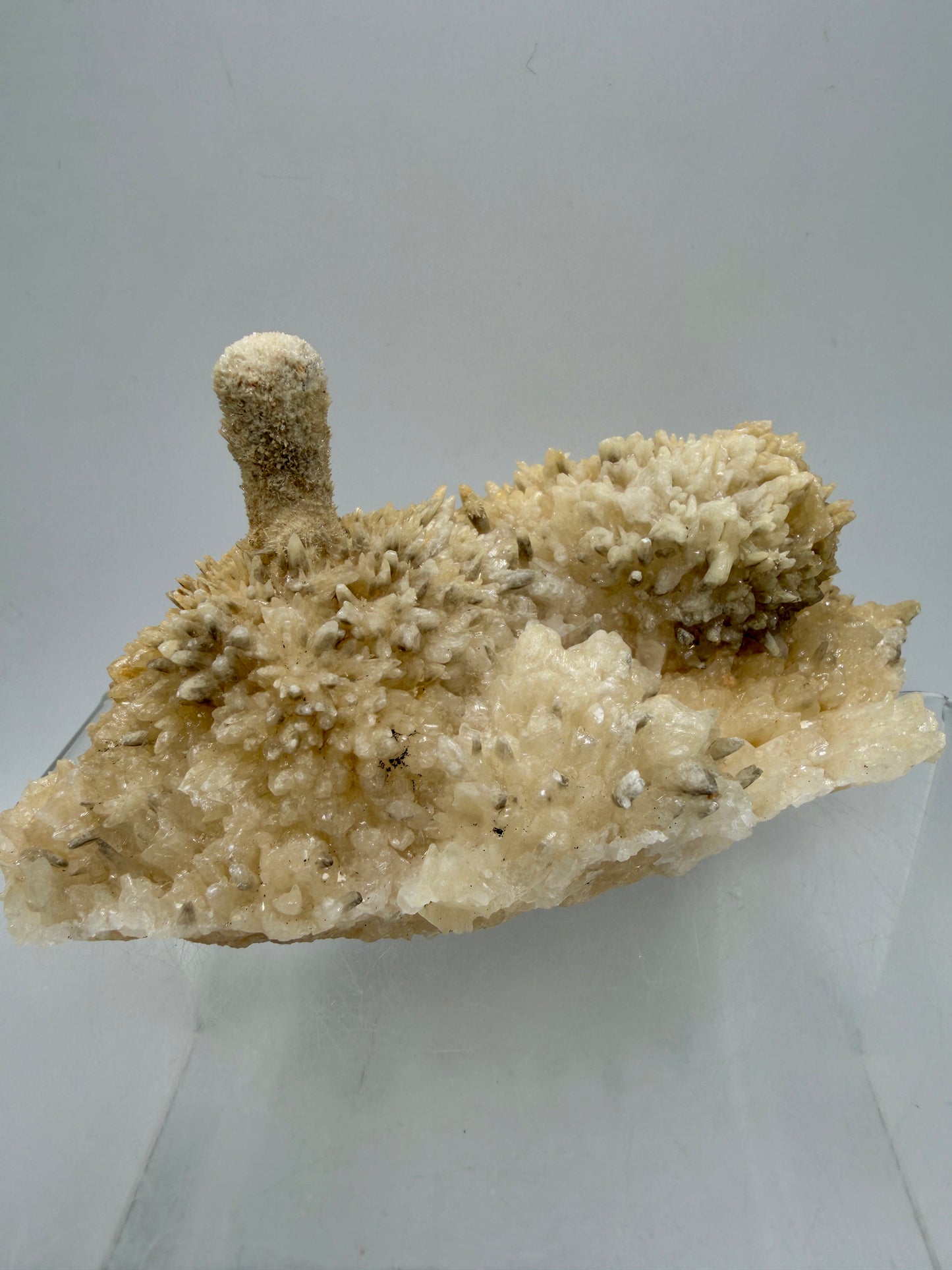 Dogtooth Calcite And Stalagmite Specimen. Stunning Flower Clusters. High Quality Rare Specimen.