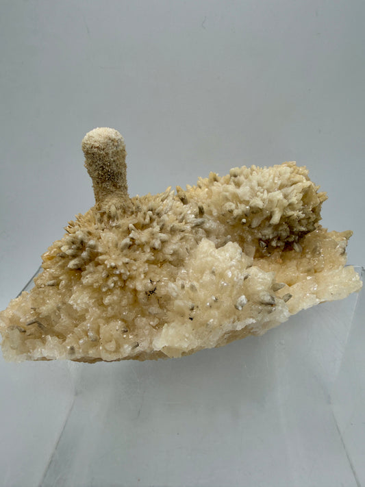 Dogtooth Calcite And Stalagmite Specimen. Stunning Flower Clusters. High Quality Rare Specimen.