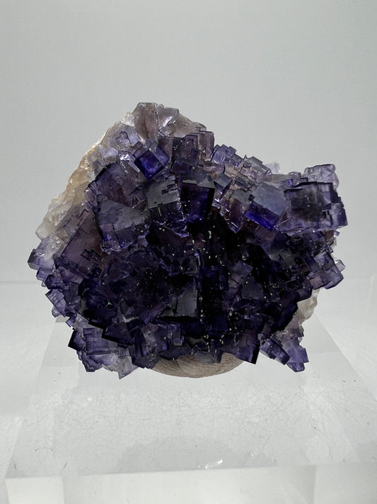 Muzquiz Purple Fluorite Specimen. High Quality Mexican Fluorite Specimen. Gorgeous Collectible Display Crystal