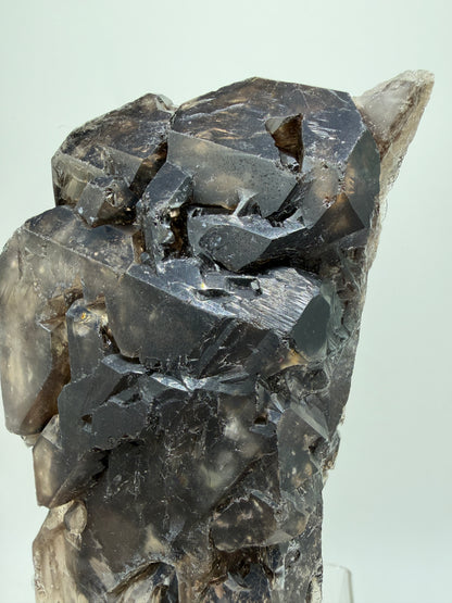 Elestial Quartz Specimen. High Quality Smoky Quartz Cluster. Amazing Colors, Excellent Windows, And Gorgeous Rainbows!