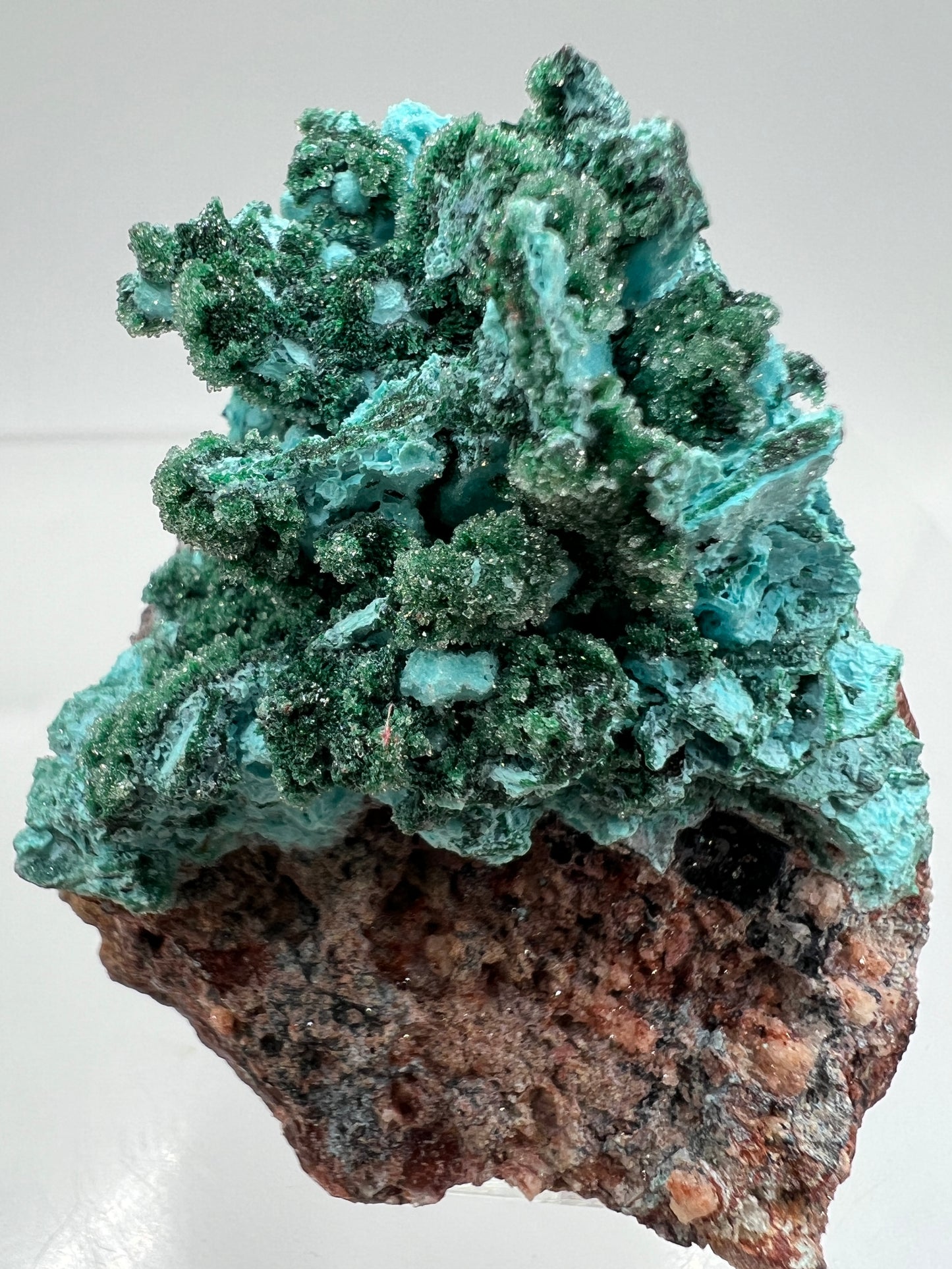 Chrysocolla And Malachite Specimen. High Quality Druzy Chrysocolla From Likasi, Congo. Gorgeous Color Display Crystal.
