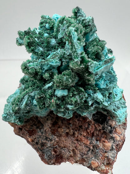 Chrysocolla And Malachite Specimen. High Quality Druzy Chrysocolla From Likasi, Congo. Gorgeous Color Display Crystal.