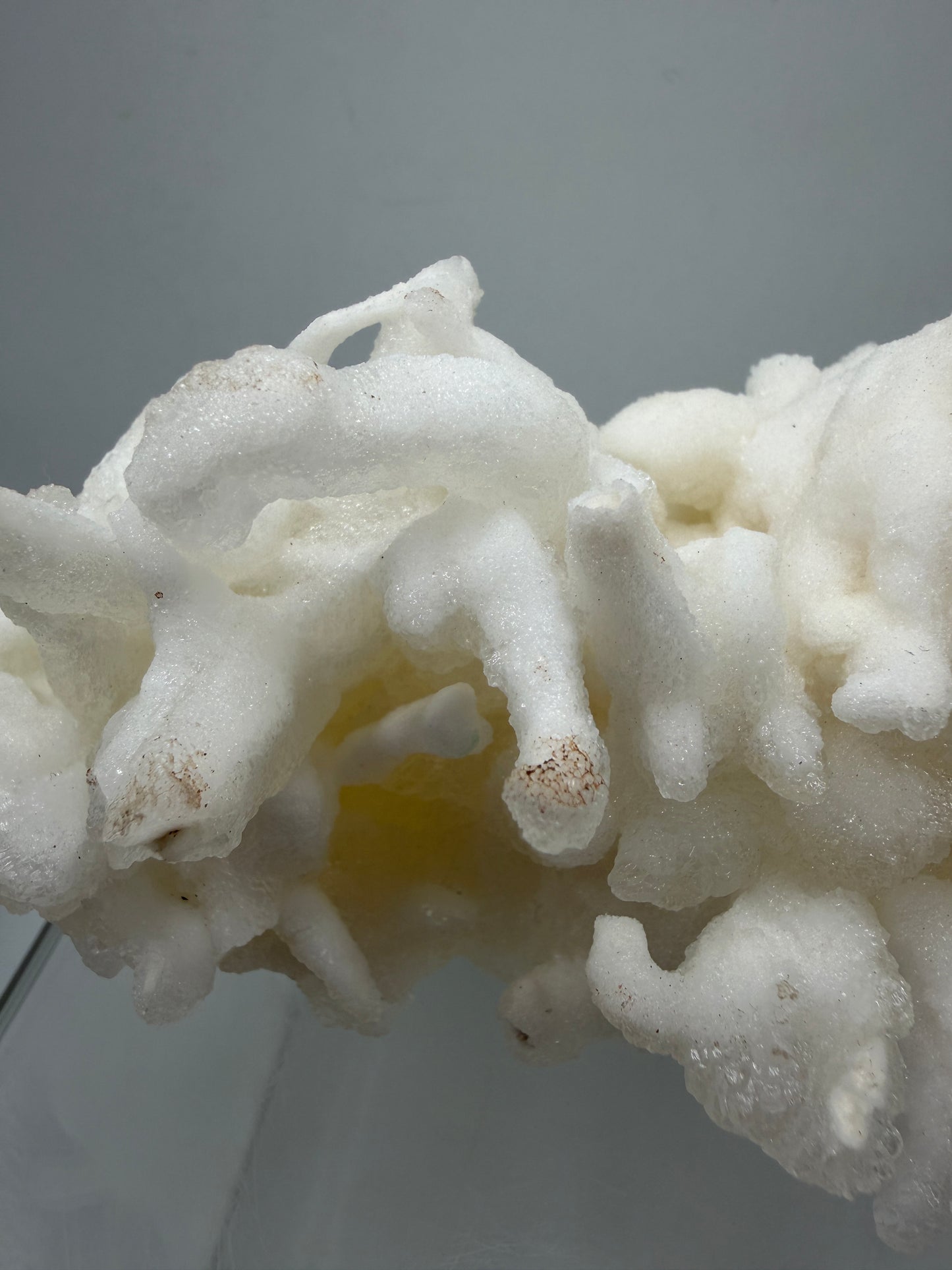 Calcite Helectite Crystal Specimen. Rare Amazing Cave Calcite Formation. High Quality Unique Mineral Display
